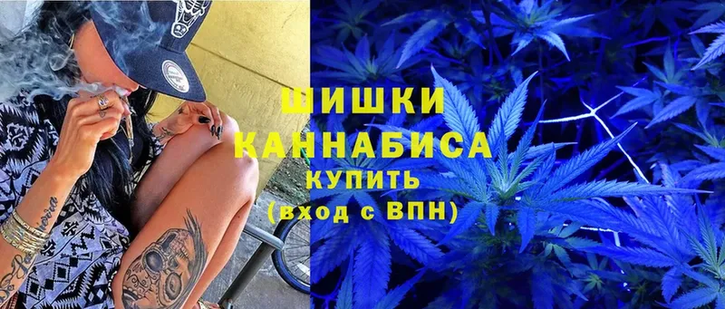 Каннабис SATIVA & INDICA  закладка  Няндома 